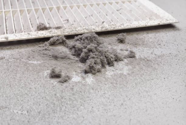 Best Best Air Duct Cleaning Near Me  in St Vincent College, PA